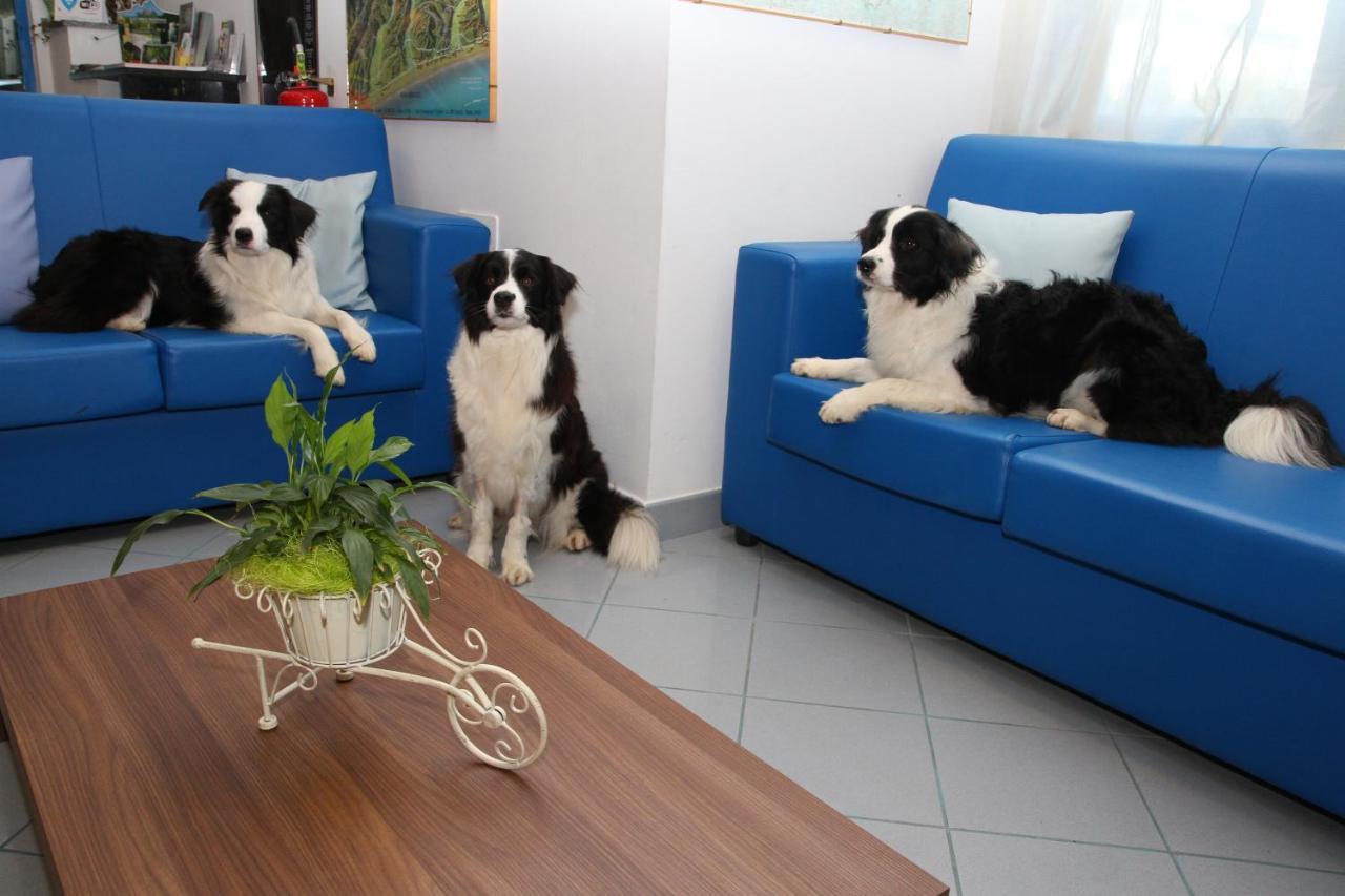 Hotel Marina Roseto Degli Abruzzi Zewnętrze zdjęcie