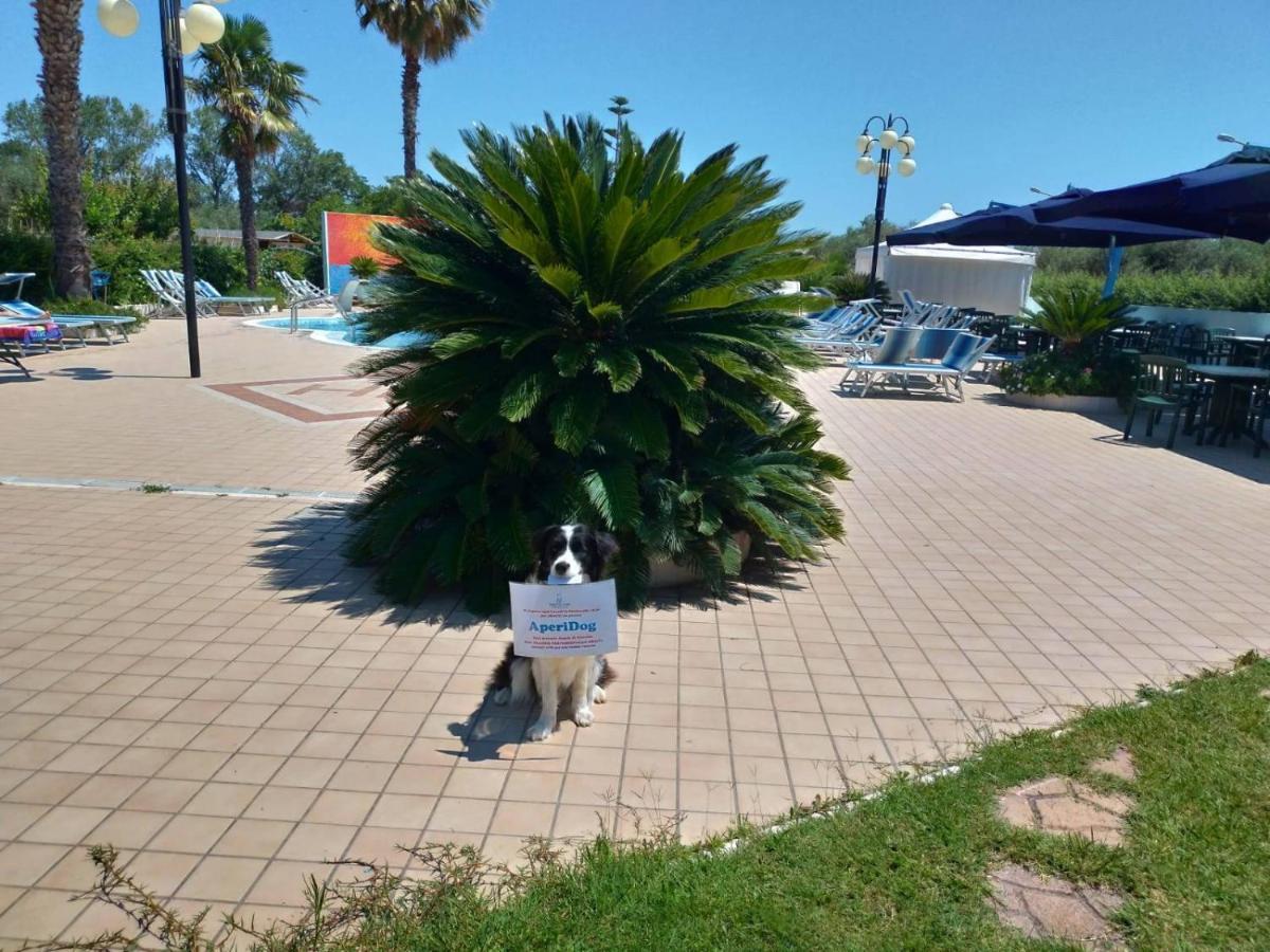 Hotel Marina Roseto Degli Abruzzi Zewnętrze zdjęcie