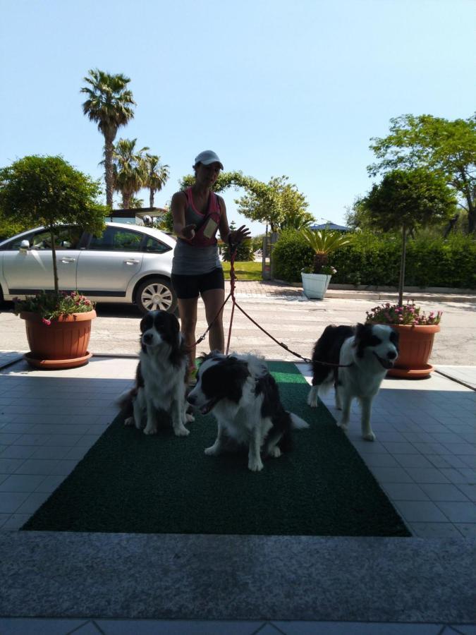 Hotel Marina Roseto Degli Abruzzi Zewnętrze zdjęcie